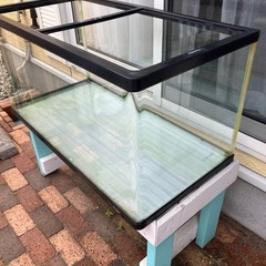 90センチ水槽の画像