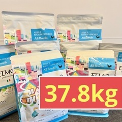 ELMO エルモ ドッグフード リッチインチキン(成犬用)