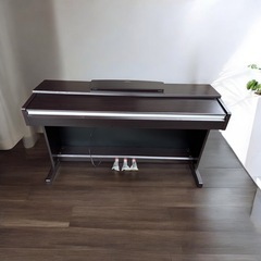 【⭐️全額返金保証⭐️】YAMAHA ARIUS YDP-135...