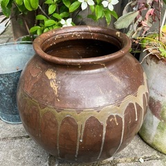 メダカ鉢　蓮鉢　壺