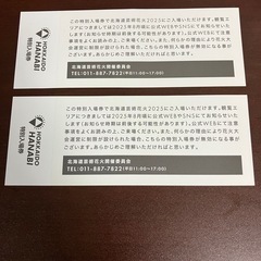 北海道芸術花火2025特別入場券の画像