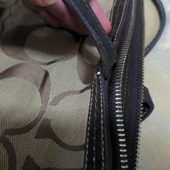 COACHの画像