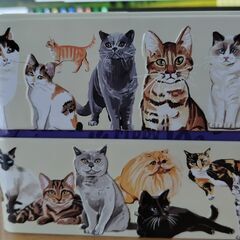 ネコ缶（缶のみ）-- 猫好きの方に。(オーストラリア紅茶ブランド...