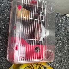 ハムスター飼育セット