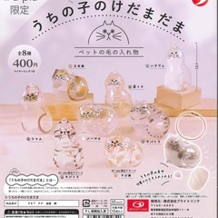 うちの子のけだまだま