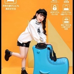 座れるキャリーケースの画像