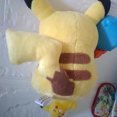 ピカチュウ＆メッソン他の画像