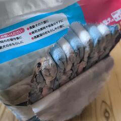 ペット用おむつの画像