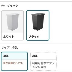 ⭐︎used⭐︎消臭スリムペダルベール（45L ブラック）の画像