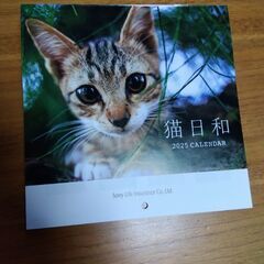 カレンダー　猫