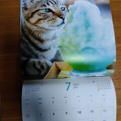 カレンダー　猫の画像
