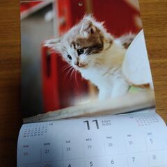 カレンダー　猫の画像