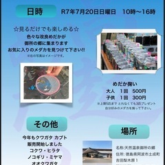 【高越めだか】クワガタ メダカ販売 天然温泉御所の郷 