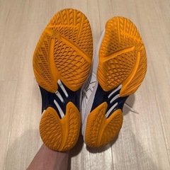 検定球バレーボール(高校生)　バレーボールシューズ27cmの画像