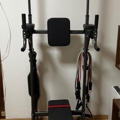 チンニングマシン　懸垂機