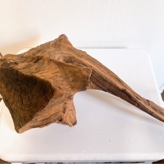 流木　ADA 熱帯魚　アクアリウム　レイアウトの画像