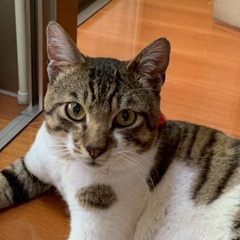 懐っこすぎる可愛い男の子❗️