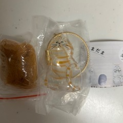 うちの子けだまだま