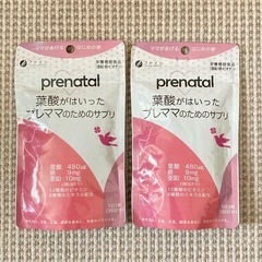 【賞味期限間近】ファイン prenatal 葉酸がはいったプレマ...
