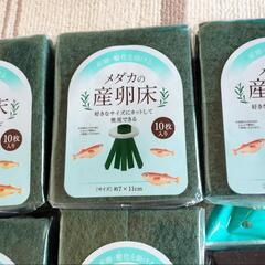 メダカの産卵床写真の6セットの画像