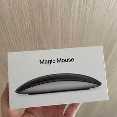 Apple Magic Mouse / マウス