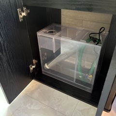オーバーフロー水槽　フルセット　60センチの画像