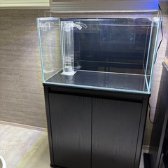 オーバーフロー水槽　フルセット　60センチの画像