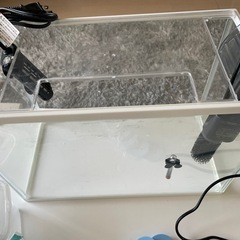 決まりました金魚メタカの水槽の画像
