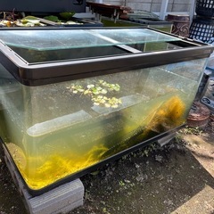 90cm水槽、専用台の画像