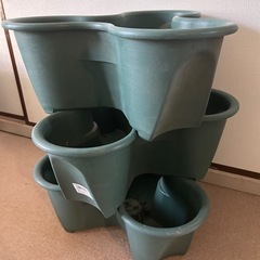 ハーベリーポット　プランター