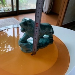 虎さん（9月末に処分予定）の画像