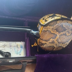 【取引中】練習用  三味線の画像