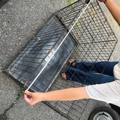 動物用ケージ　7〜8個