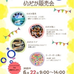 6月22日　めだか販売会