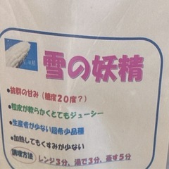 取引予定者決定済み【白いトウモロコシ】雪の妖精の画像