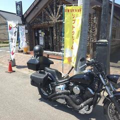 ドラッグスター1100。交換も是非！の画像