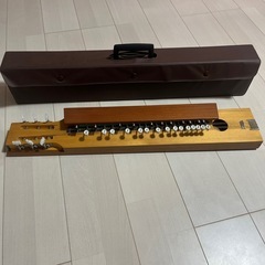 Morris アコースティックギター F-02SBU 青 6弦 弦楽器 アコギ
