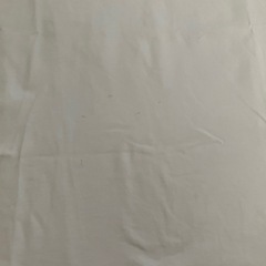 【TOMY HILFIGER】Tシャツ　Sサイズの画像