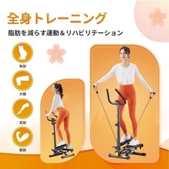 健康ステッパー 足踏み健康器具 負荷調整付きの画像