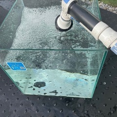 ガラス水槽　300キューブの画像