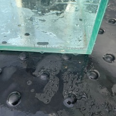 ガラス水槽　300キューブの画像