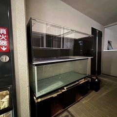 アクリル水槽