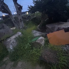 庭石の画像