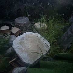 庭石の画像