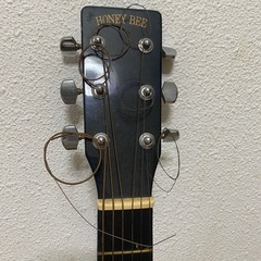 Honey Bee　F15/BLSの画像