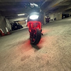 シグナス  
の画像