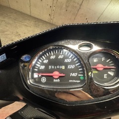 シグナス  
の画像