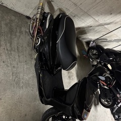 シグナス  
