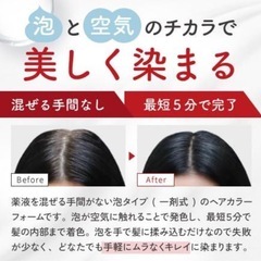定価8594円　白髪染め　各種　男女兼用ヘアーカラーの画像