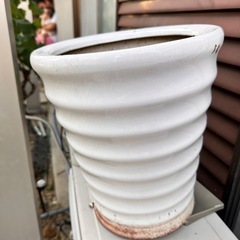 花だん